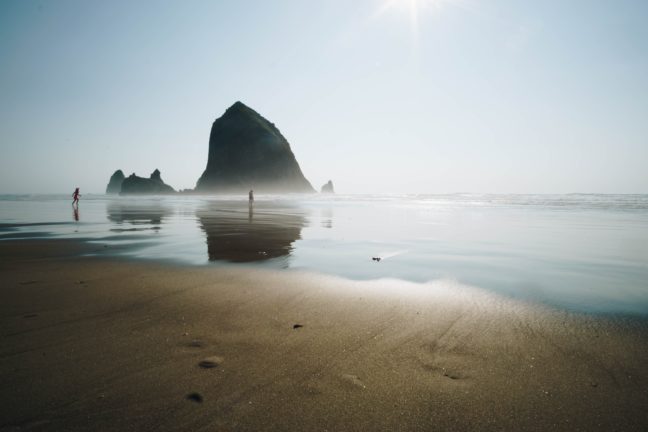 a couple of people walking on top of a sandy beach