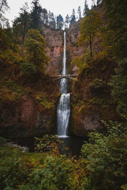 a waterfall in the middle of a forest